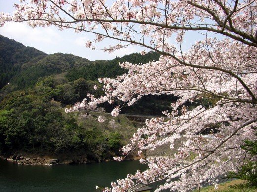 🏛️ 가고시마 시립 향토 고고 역사관(가고시마시리쓰 후루사토 고코레키시칸) 이미지 6